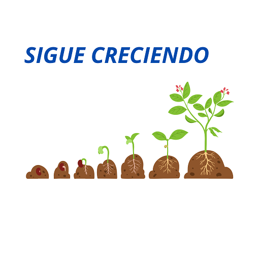 sigue creciendo